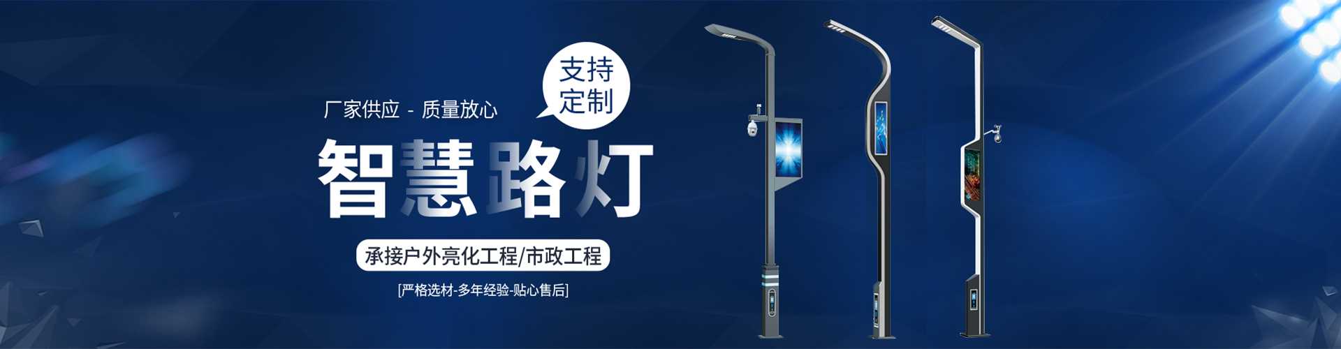 雨城区太阳能路灯定制厂家