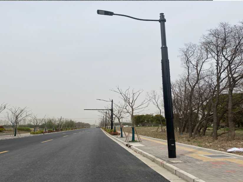 雨城区上海综合杆 太阳能路灯工程